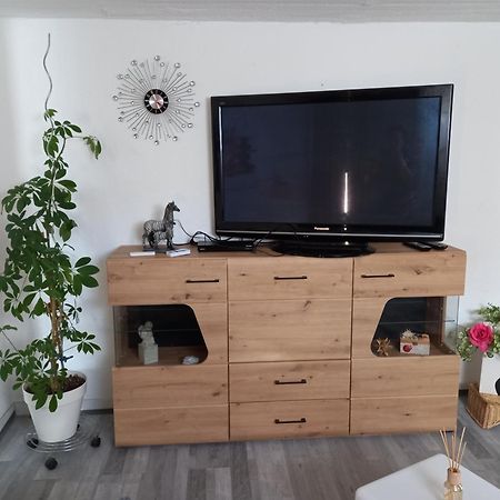 60 M² Ferienapartment Zentrumsnahe Mit Gartenbenutzung Steyr Buitenkant foto