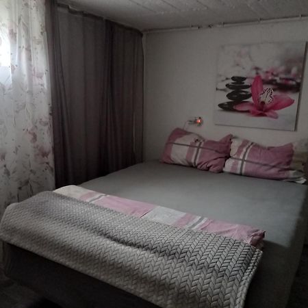 60 M² Ferienapartment Zentrumsnahe Mit Gartenbenutzung Steyr Buitenkant foto