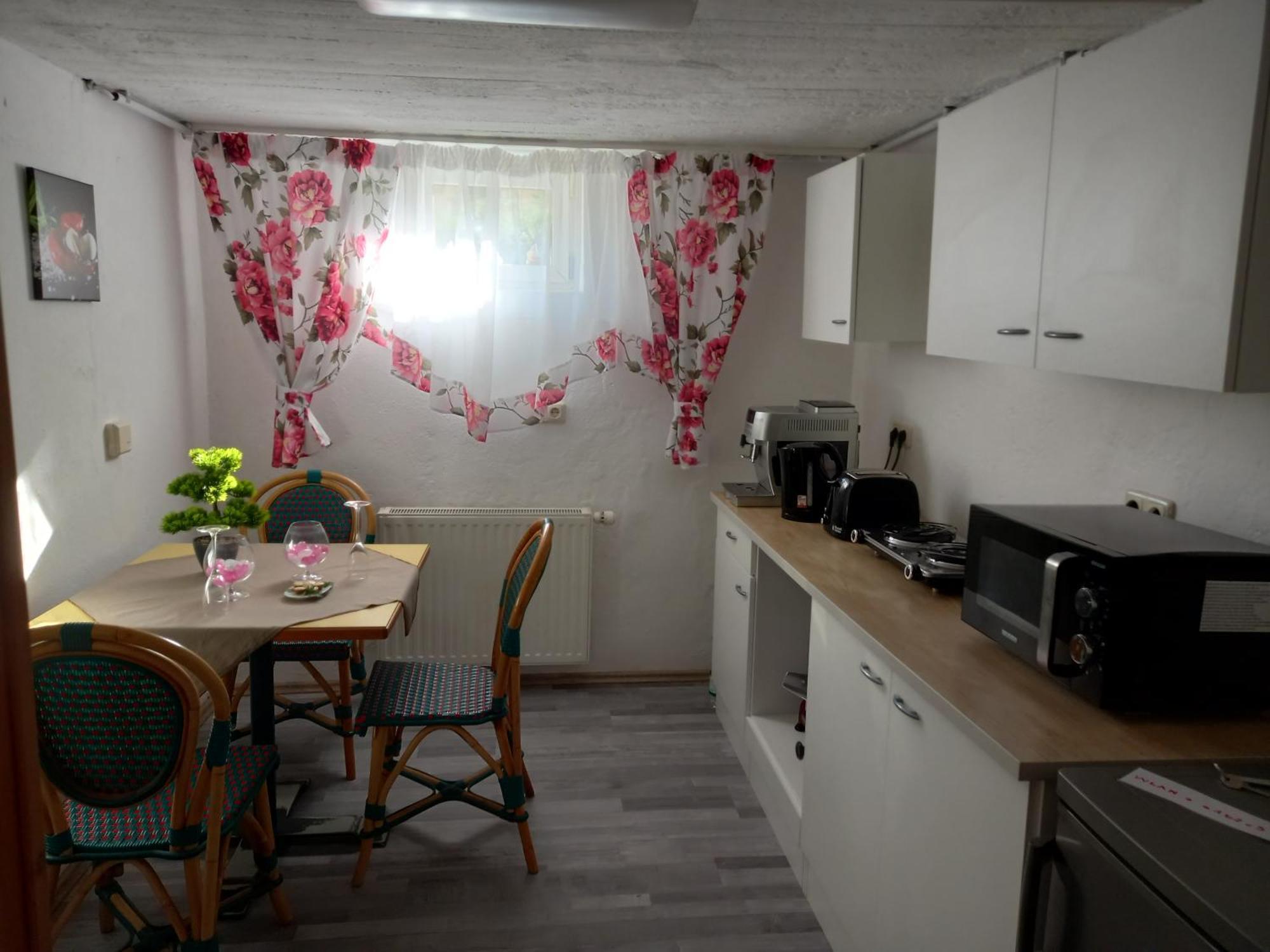 60 M² Ferienapartment Zentrumsnahe Mit Gartenbenutzung Steyr Buitenkant foto