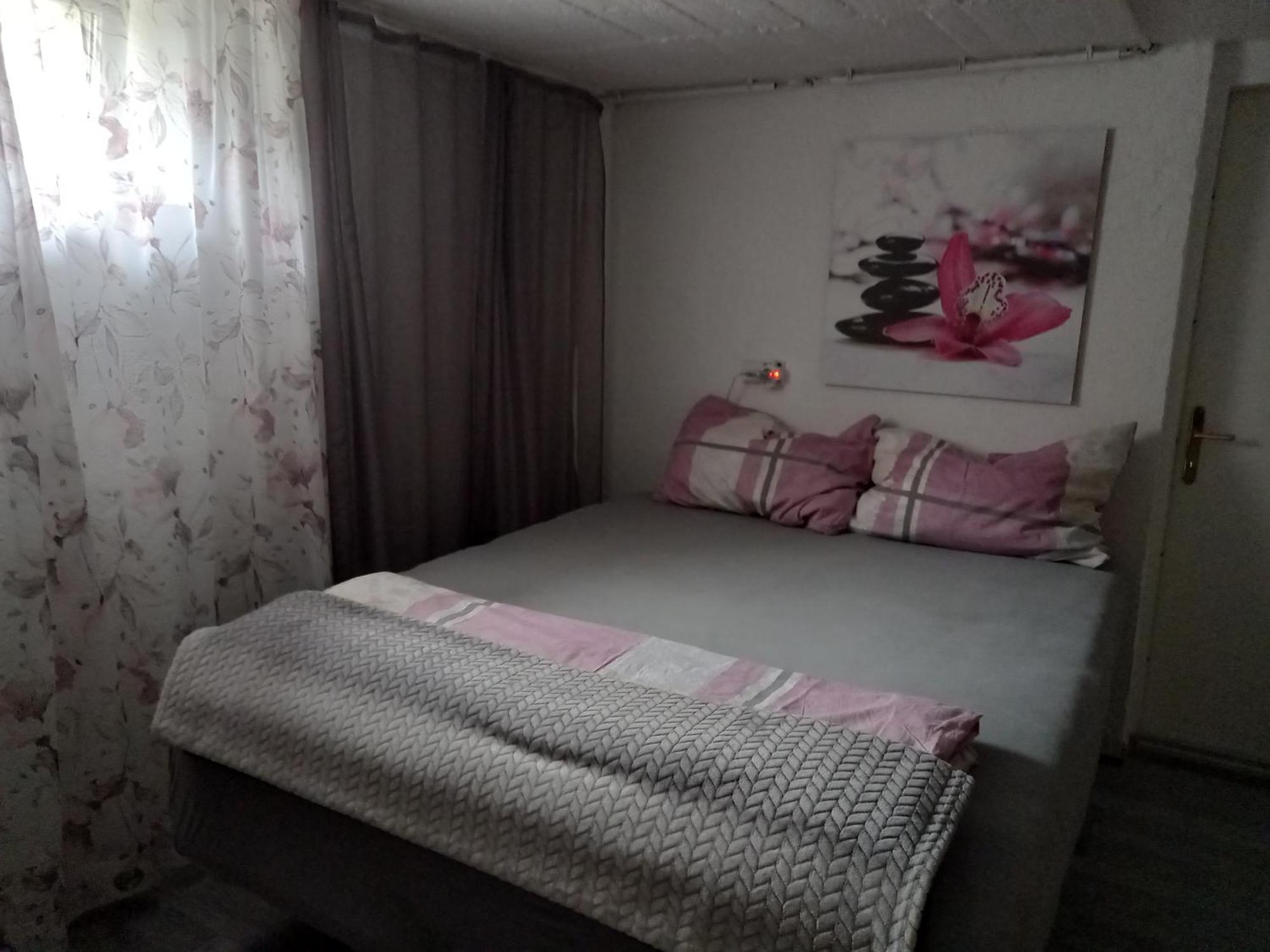 60 M² Ferienapartment Zentrumsnahe Mit Gartenbenutzung Steyr Buitenkant foto
